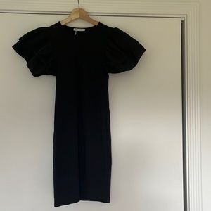 ZARA Ruffle Sleeve Dress